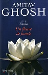 Les deux derniers romans d'Amitav Ghosh